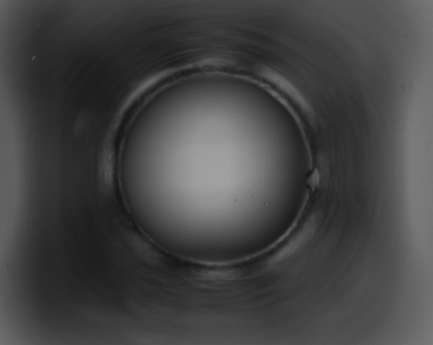 X0000100421021200806061358