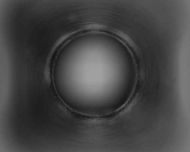 X0000100421022200806061358