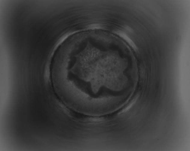 X0000100421023200806061358
