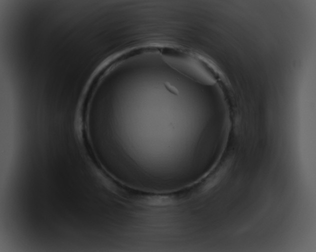 X0000100421024200806061358