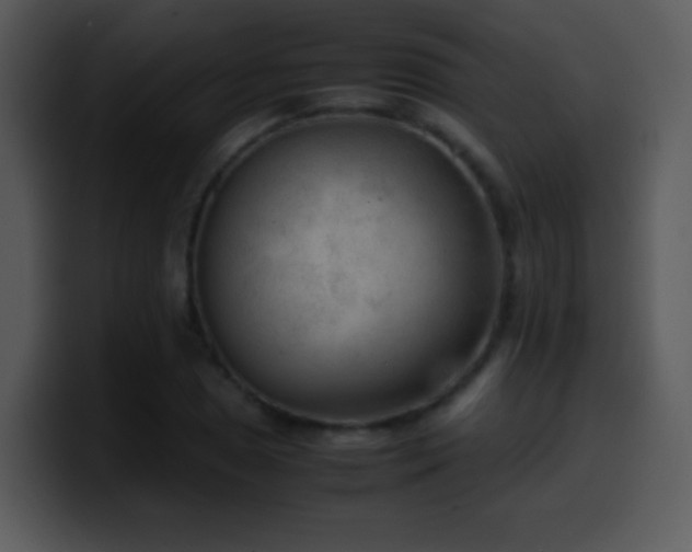 X0000100421025200806061358