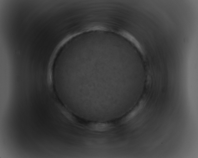 X0000100421027200806061358