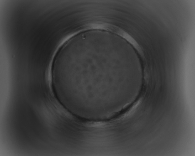 X0000100421028200806061358