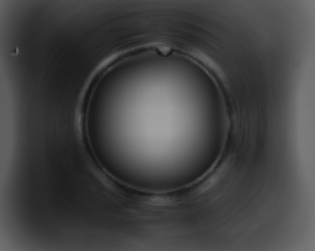 X0000100421029200806061358