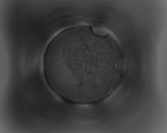 X0000100421031200806061358