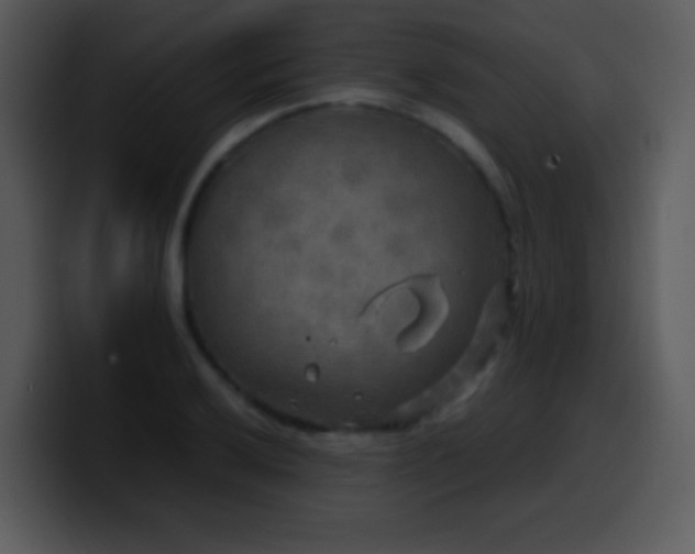 X0000100421032200806061358