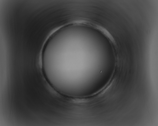 X0000100421036200806061358