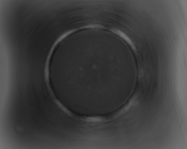 X0000100421037200806061358