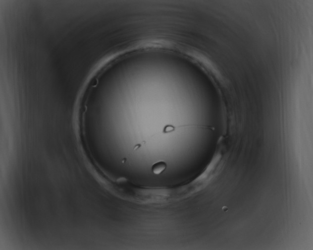 X0000100421038200806061358