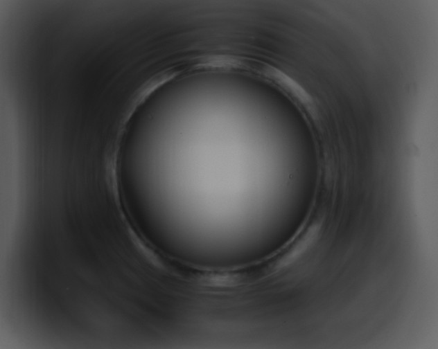 X0000100421041200806061358