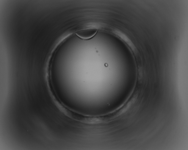 X0000100421042200806061358