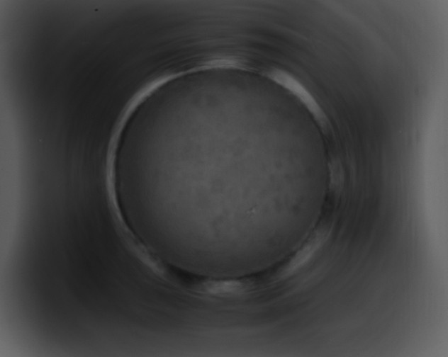 X0000100421043200806061358