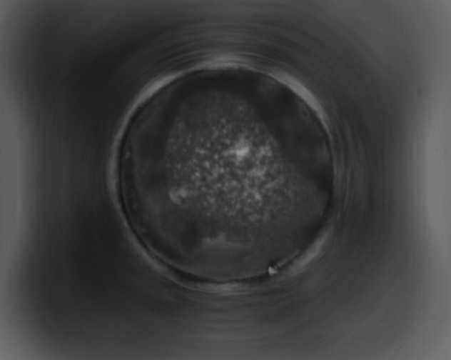 X0000100421045200806061358