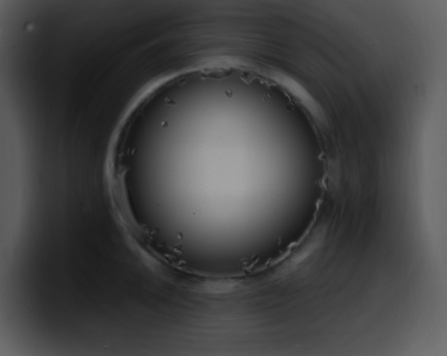 X0000100421046200806061358