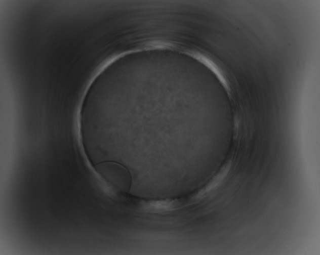 X0000100421047200806061358