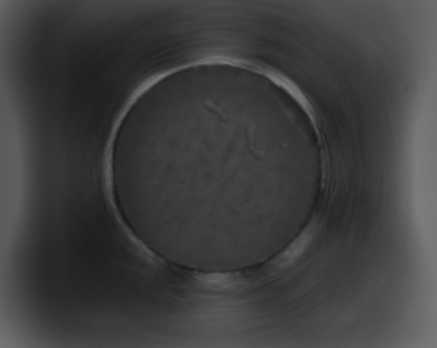 X0000100421048200806061358