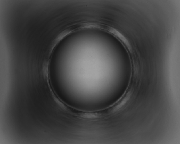 X0000100421049200806061358
