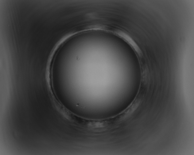 X0000100421051200806061358