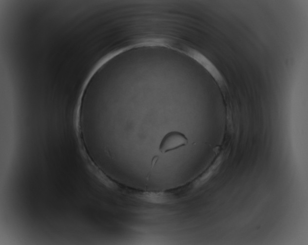 X0000100421052200806061359