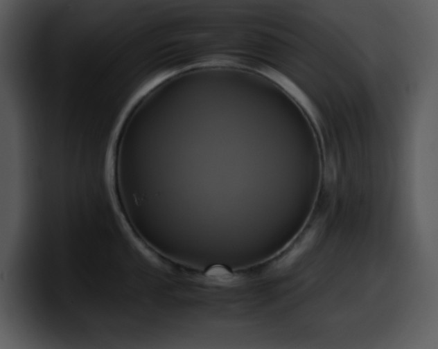 X0000100421053200806061359