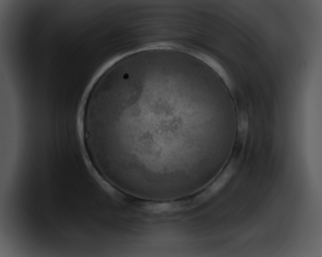 X0000100421054200806061359
