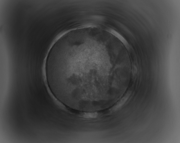 X0000100421055200806061359