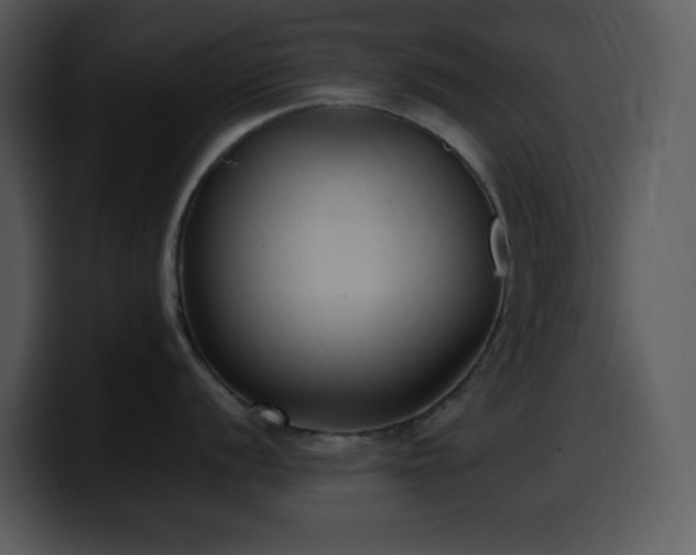 X0000100421056200806061359