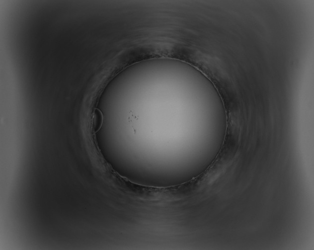 X0000100421057200806061358