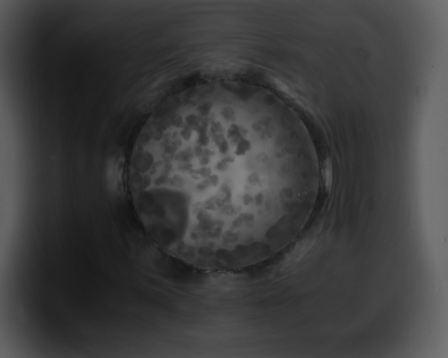 X0000100421059200806061358