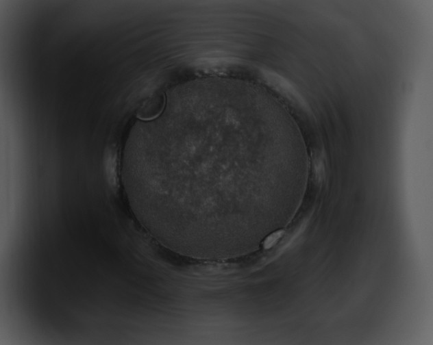 X0000100421060200806061358