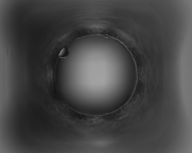 X0000100421061200806061358