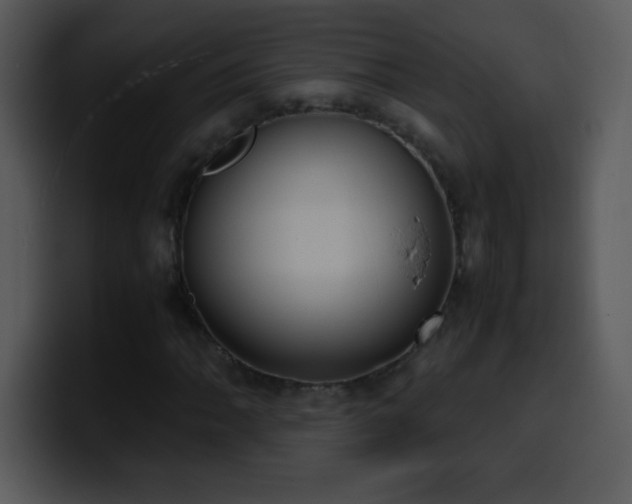 X0000100421062200806061358