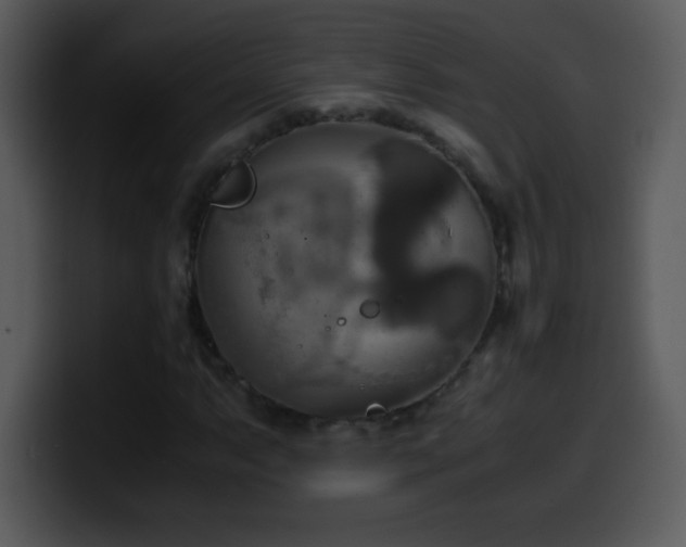 X0000100421063200806061358