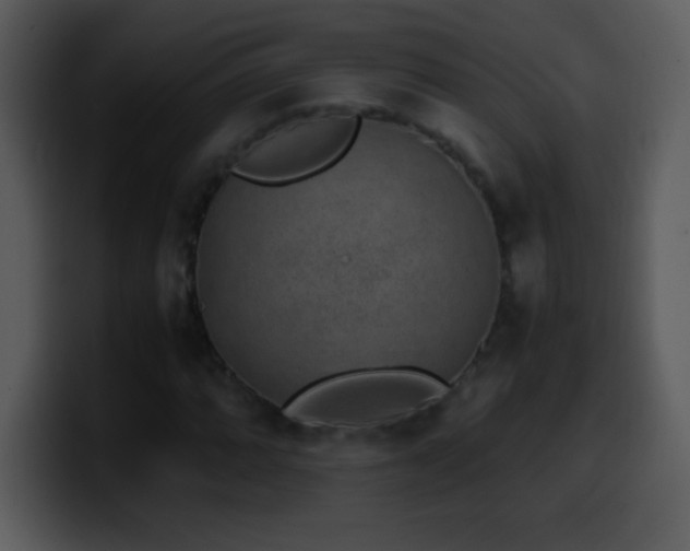 X0000100421064200806061358