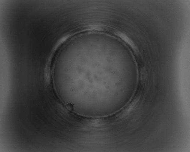 X0000100421067200806061358