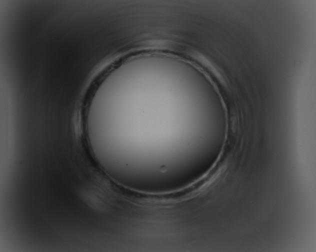 X0000100421069200806061358