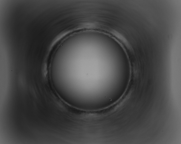 X0000100421070200806061358