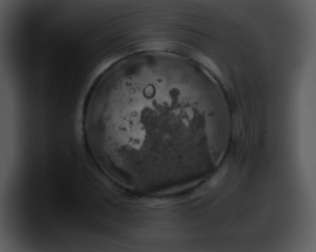 X0000100421071200806061358