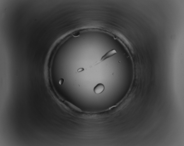 X0000100421072200806061358