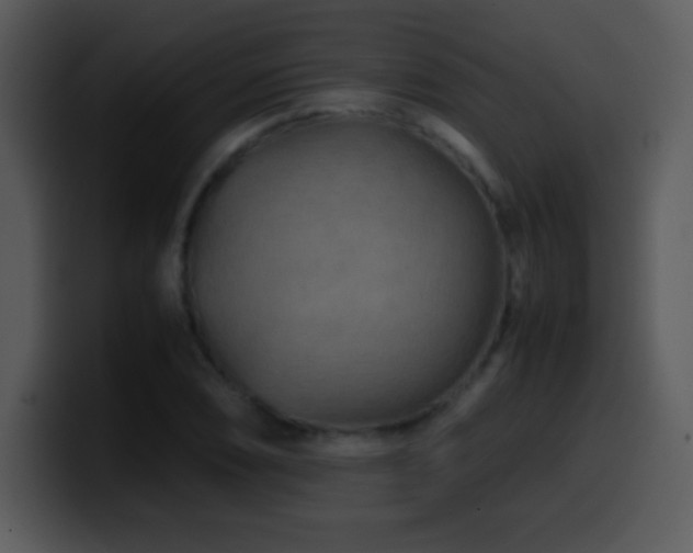 X0000100421074200806061358