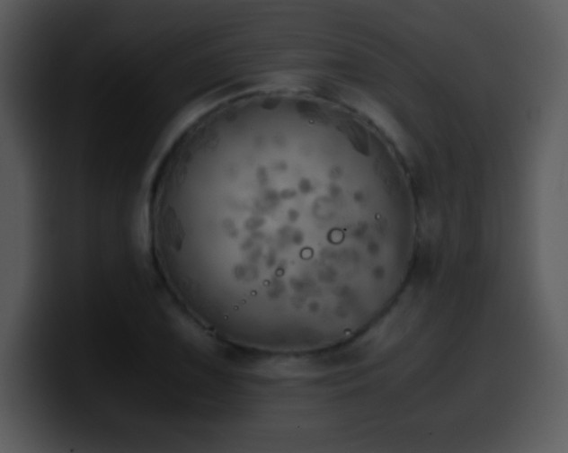 X0000100421075200806061358
