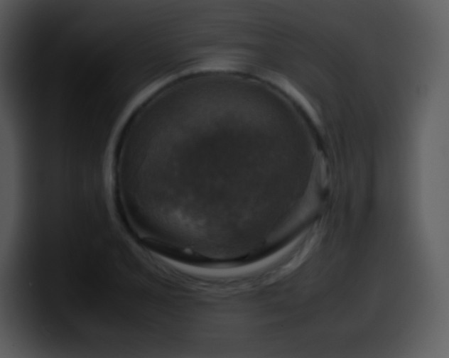 X0000100421077200806061358