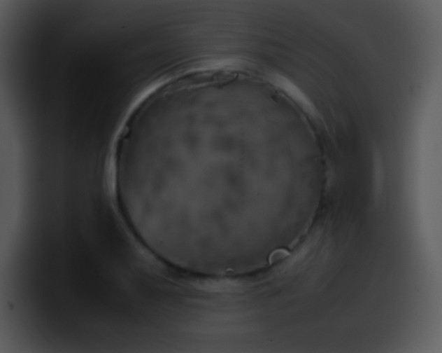 X0000100421079200806061358
