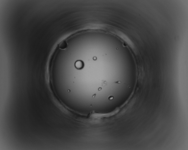 X0000100421080200806061358