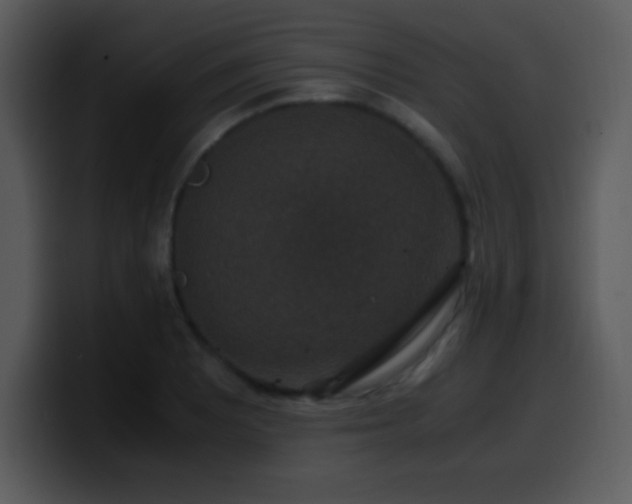 X0000100421081200806061358