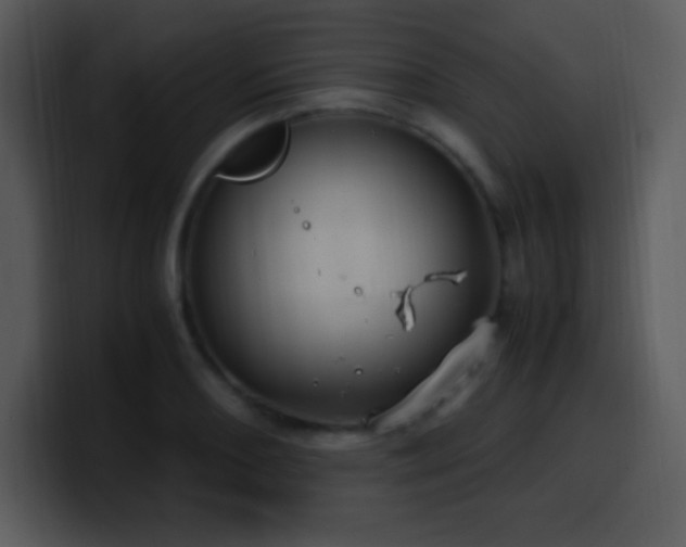 X0000100421082200806061358