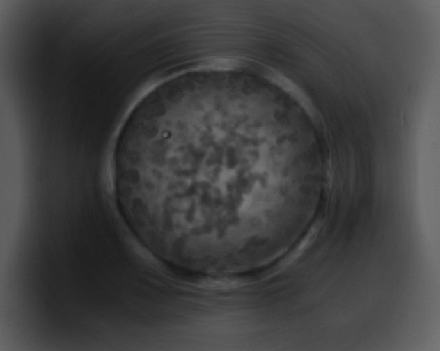 X0000100421083200806061358