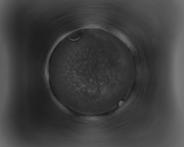 X0000100421084200806061358