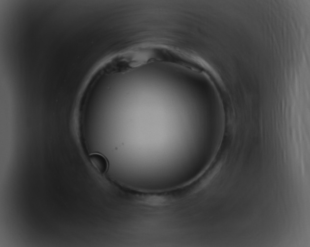 X0000100421085200806061358