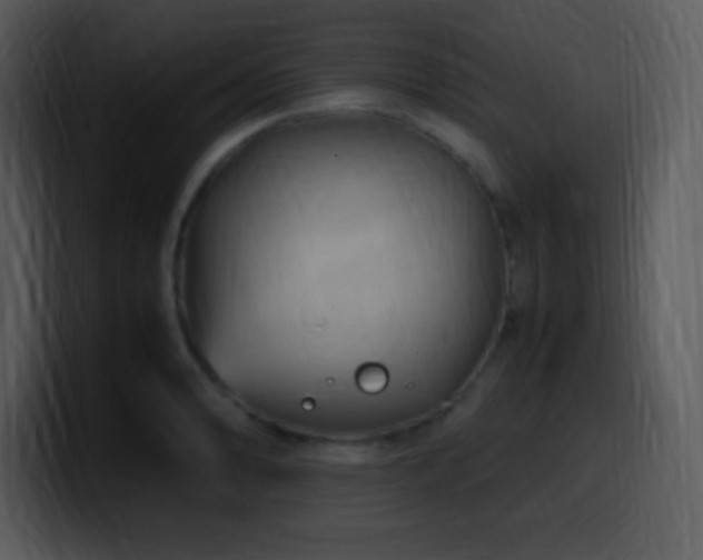 X0000100421086200806061358